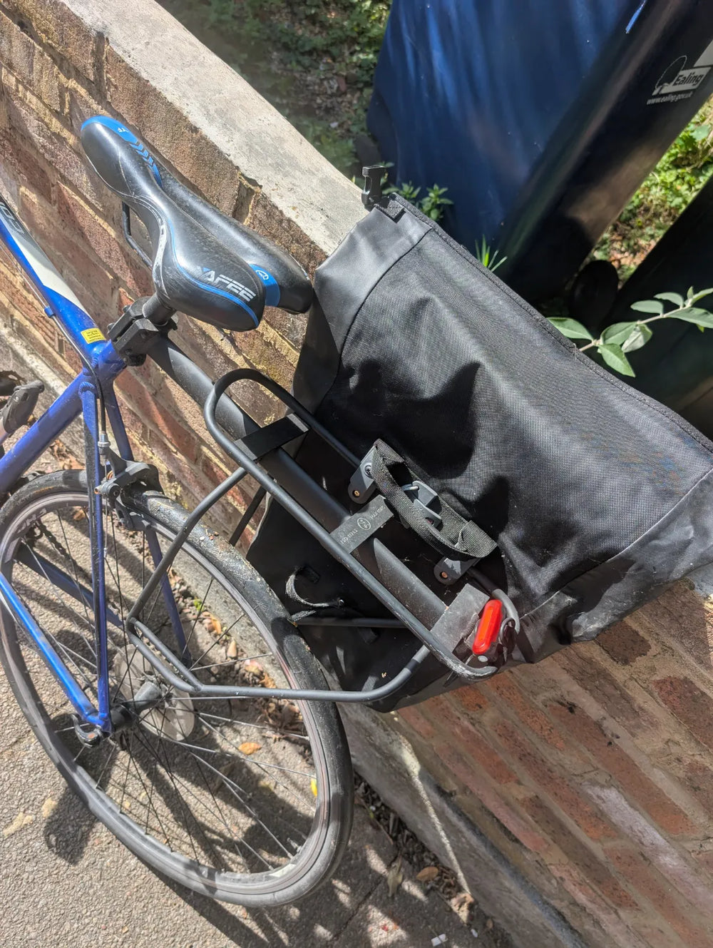 Giant Contend 2 2020