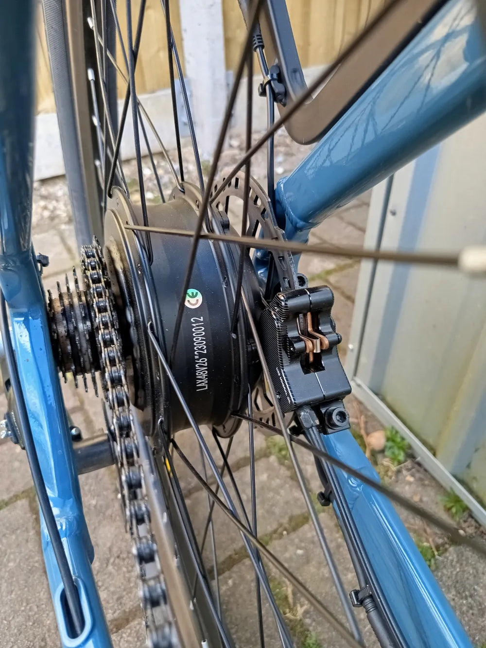 crazybird  seta 2024