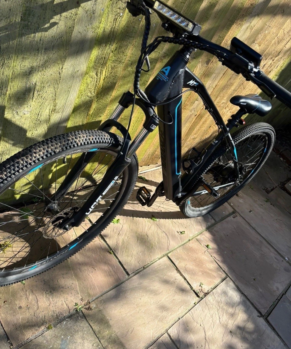 Avalanche MTE 2020