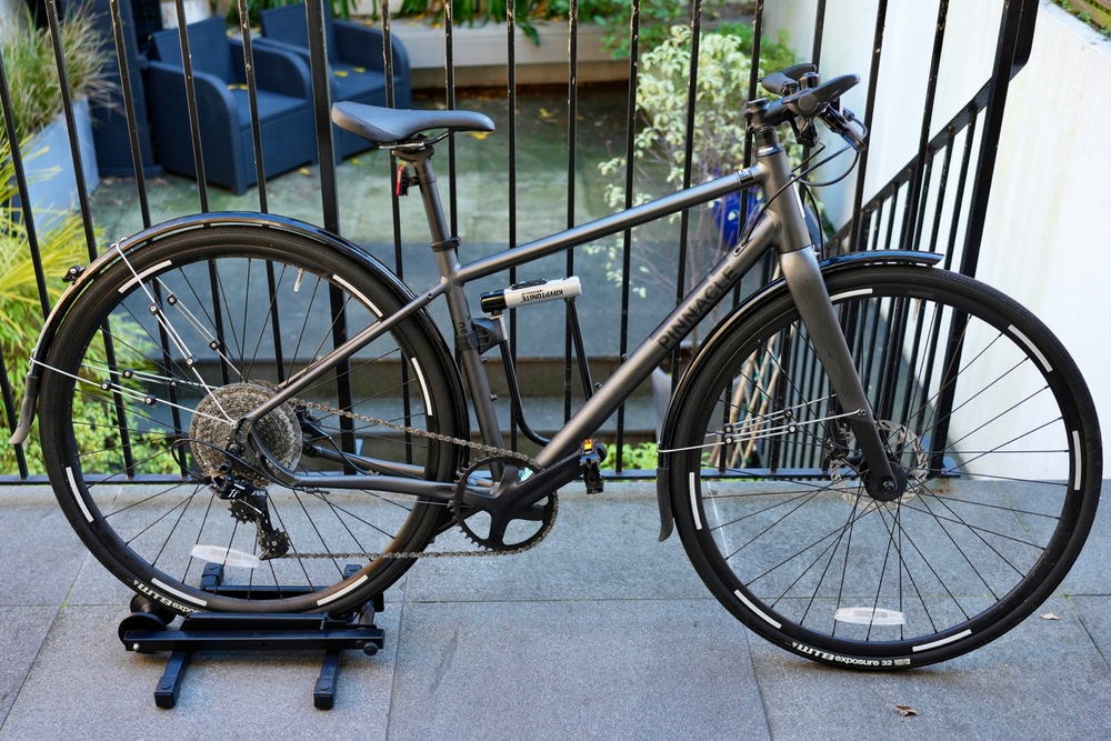 Pinnacle Neon 5 2020