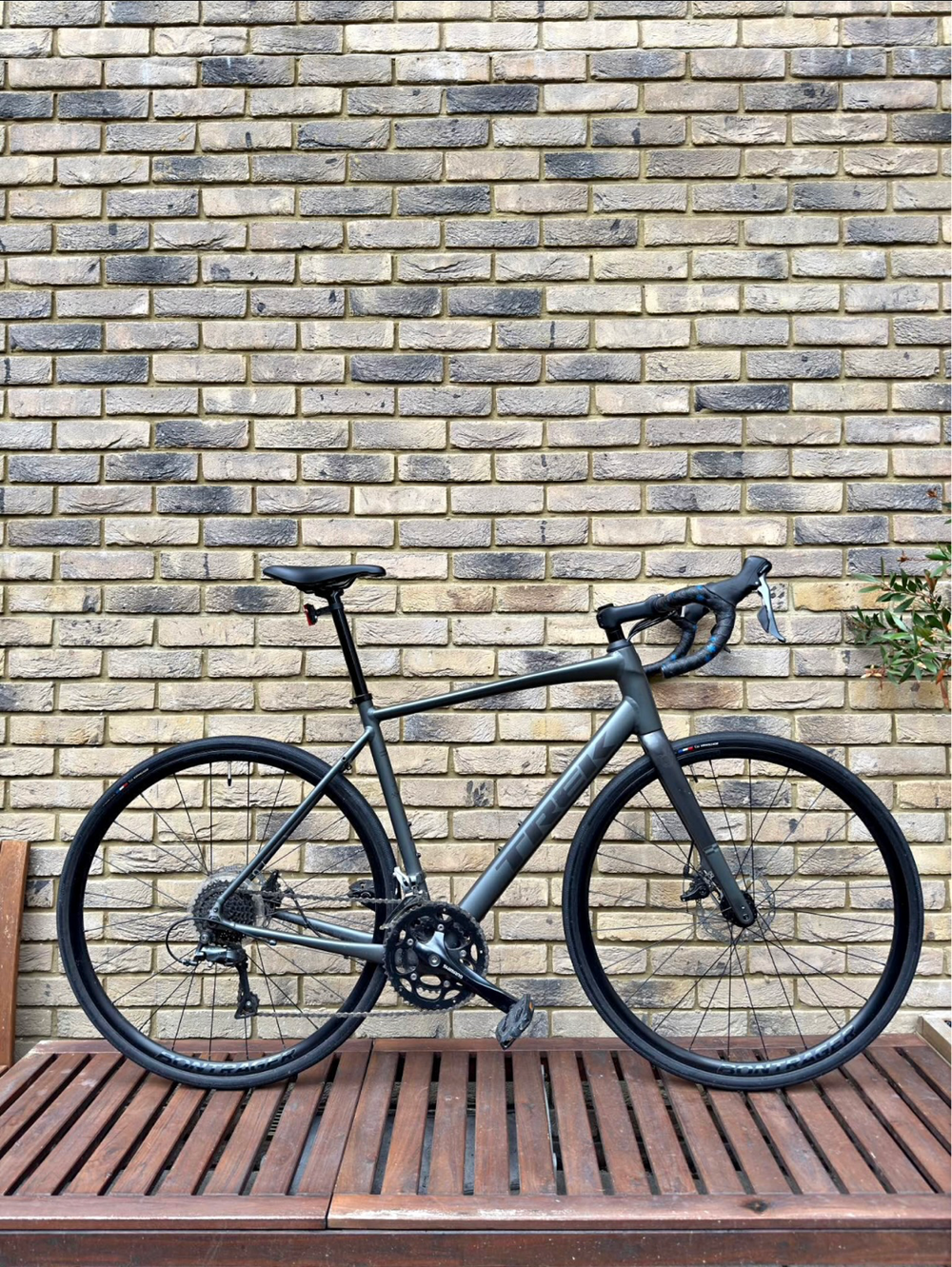 Trek Domane AL 2 Disc 2025