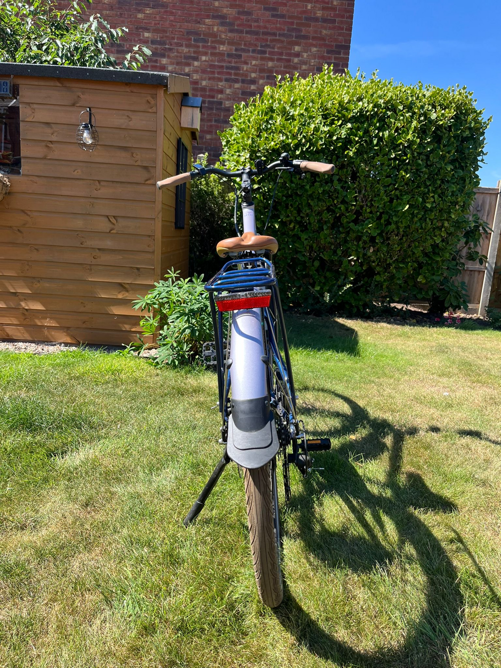 Raleigh Array 2021