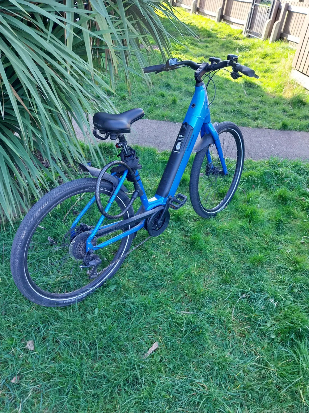 Cannondale Adventure 1 2023
