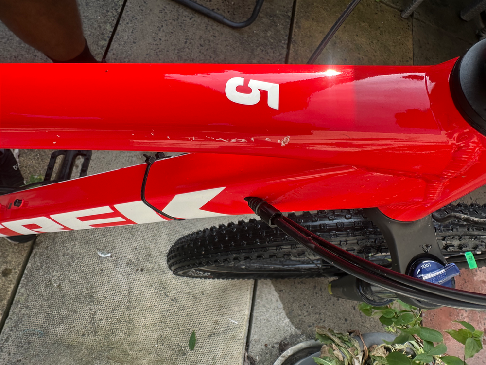 Trek Marlin 5 2022