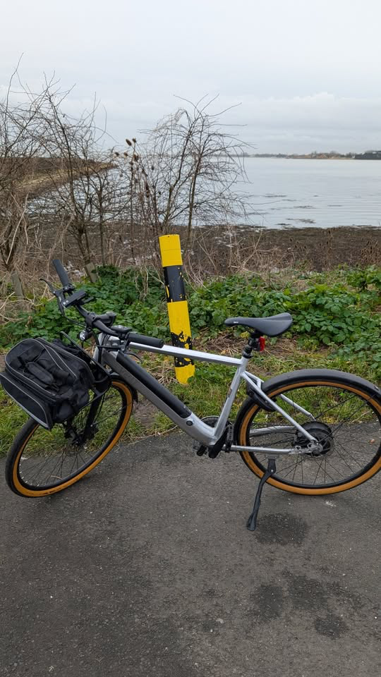 Volt London 2023