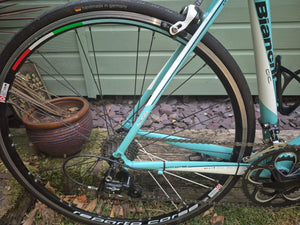 Bianchi Impulso 2024