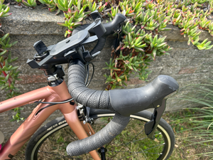 Liv Langma SL 2 2021