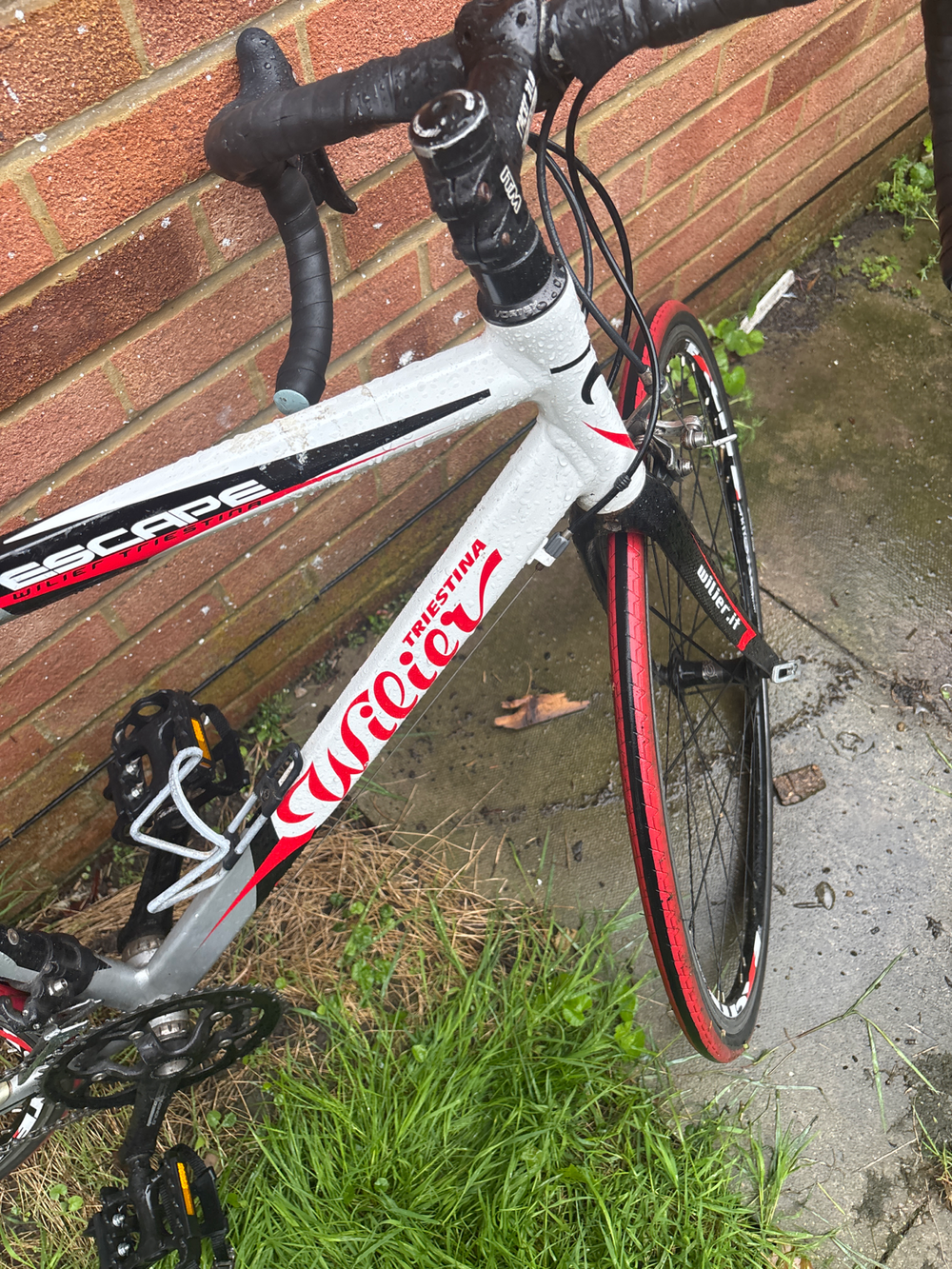 Wilier CENTO10 SL SHIMANO 105 R7000 (BR-R7010-F) 2021