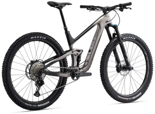 Giant Trance Advanced Pro 2 29 Trail 2020