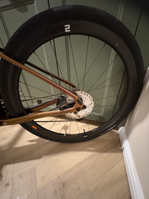 Giant Revolt Advanced Pro 1 2021