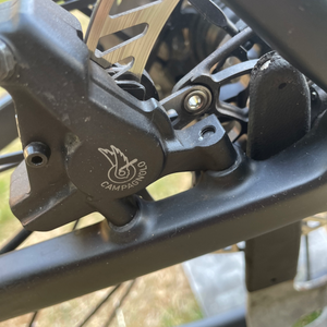 Colnago V3RS Disc 2021