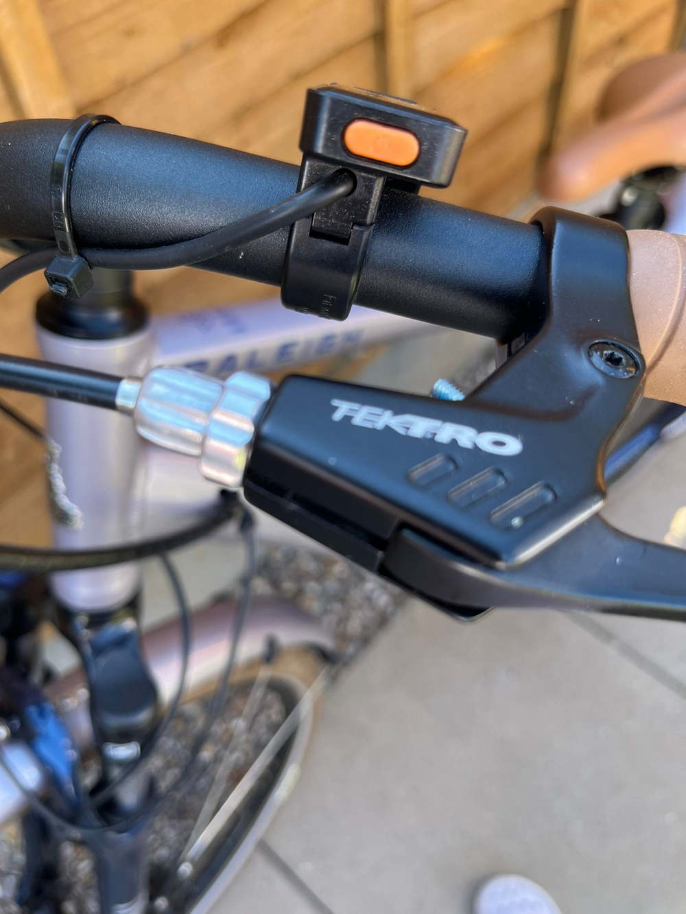 Raleigh Array 2021