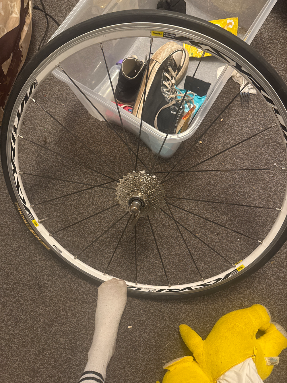 Cannondale SuperSix EVO Carbon Ultegra Race 2019