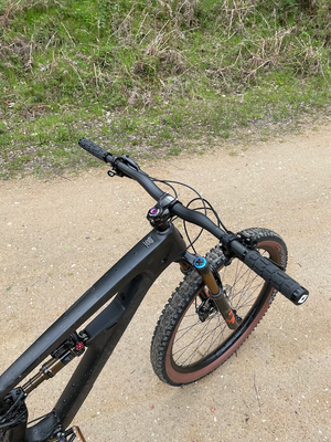 Salsa Blackthorn Carbon Frame 2021