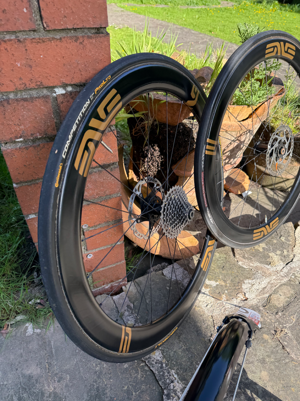 Storck Tix 2020