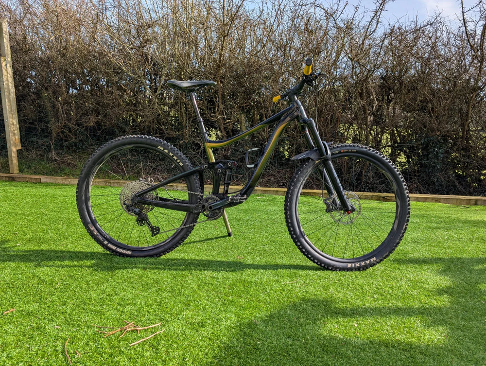 Giant Reign 29 2022