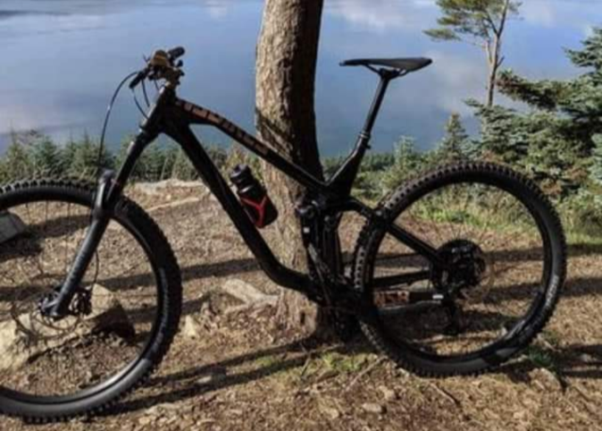 NS Bikes AL 250 2019