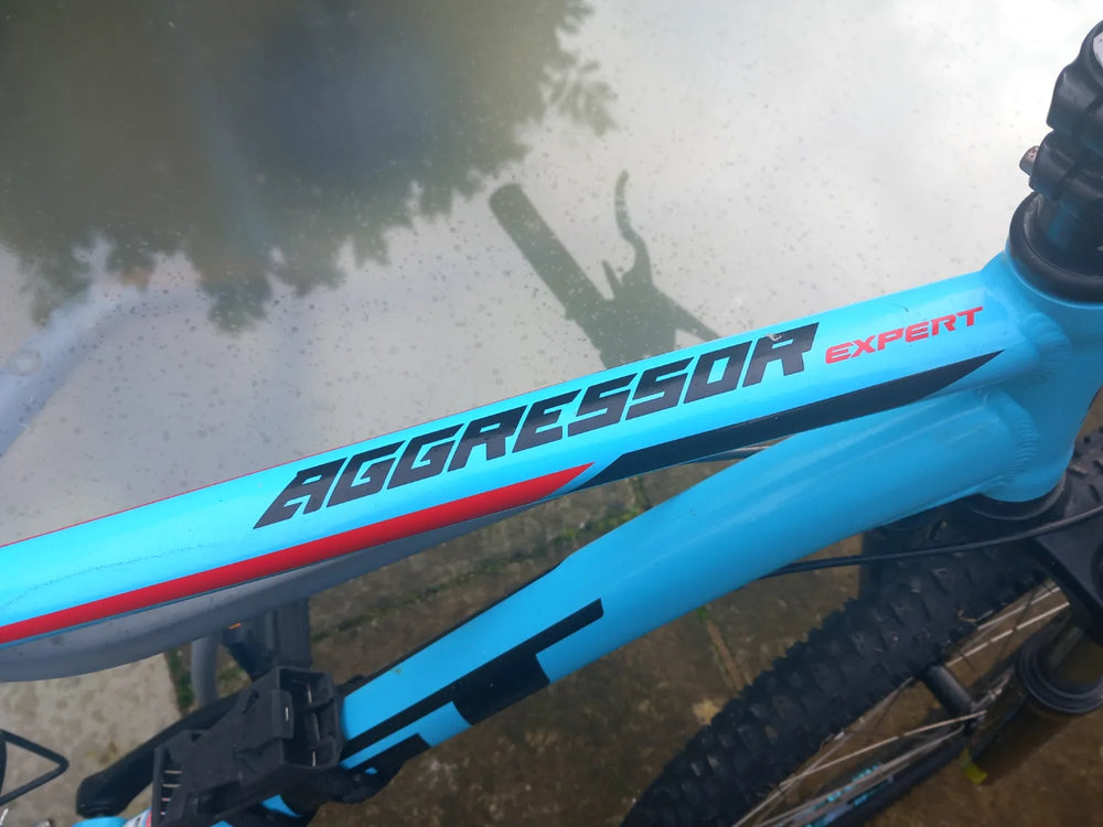GT Aggressor Expert 2019