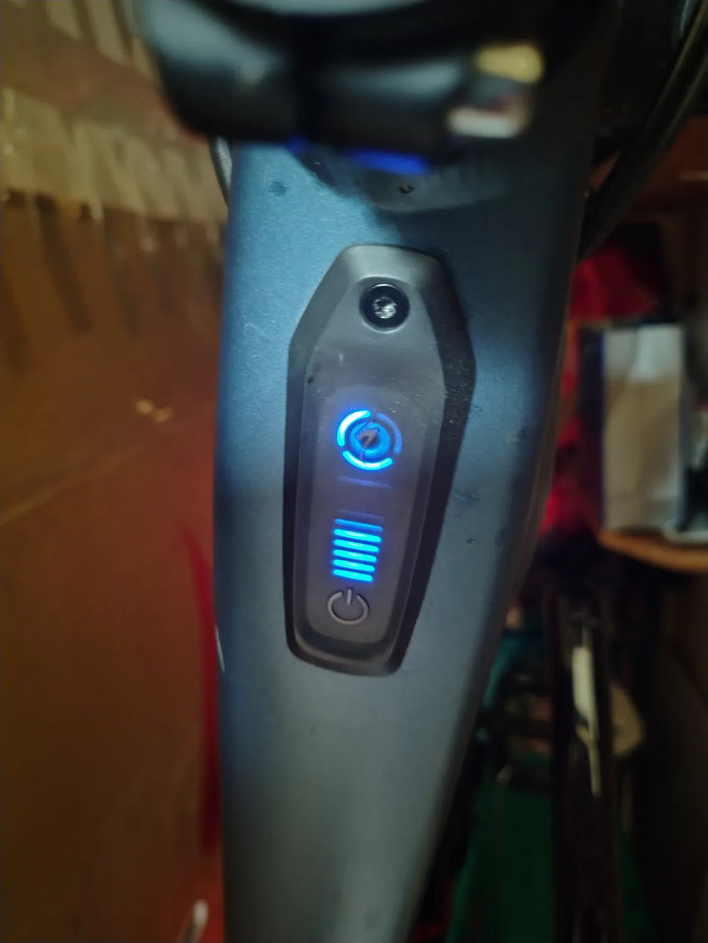 Specialized Men's Turbo Levo 2019
