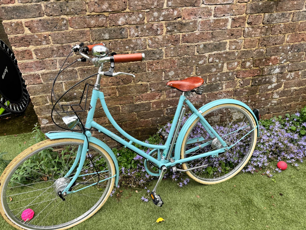 Pashley Britannia 5 Speed 2020