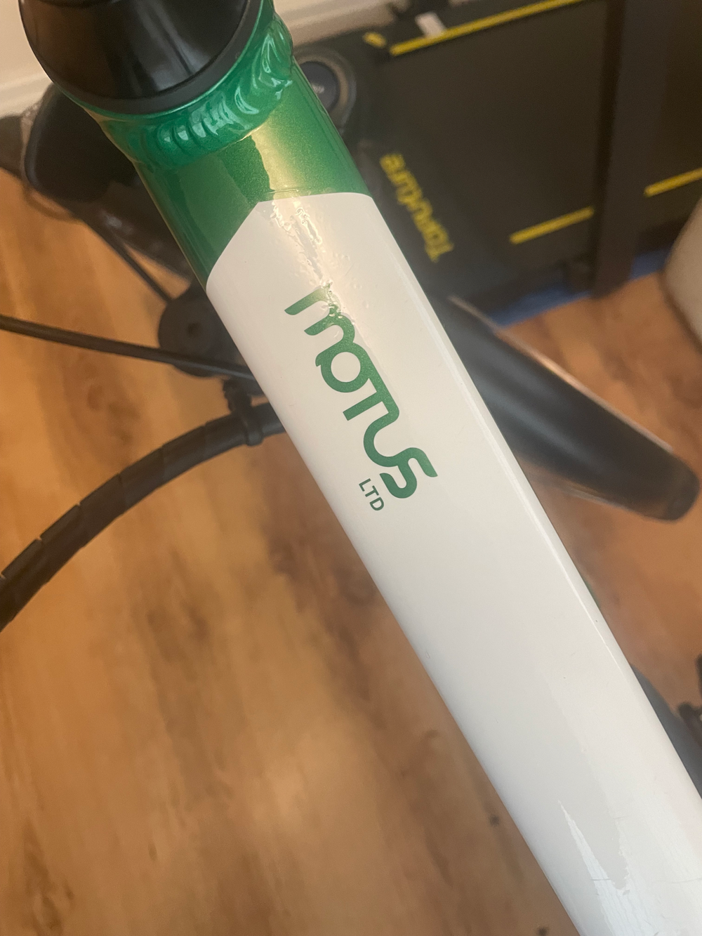 Raleigh Motus Step Through Electric 2020