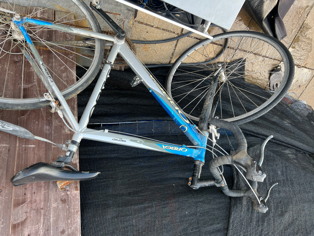 Orbea Alma 2013