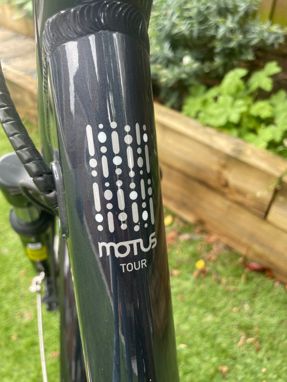 Raleigh Motus Tour Lowstep Hub Col2 2020