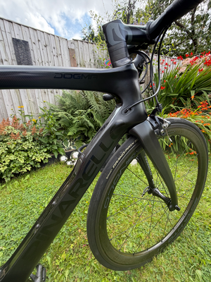 Pinarello Dogma F10 2019
