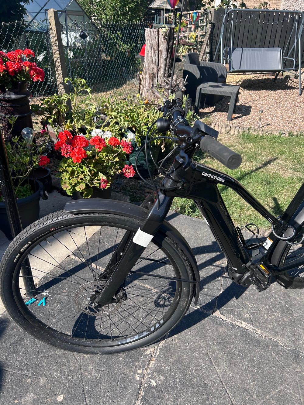 Cannondale Canvas Neo 2 2024