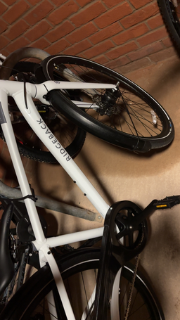 Ridgeback Terrain 1 2024