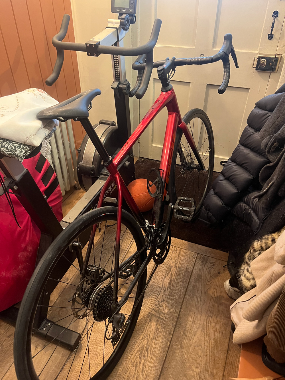 Trek Domane AL 2 Gen 4 2024