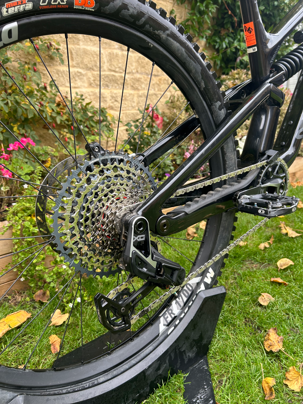 Canyon Torque Mullet CF 9 2023