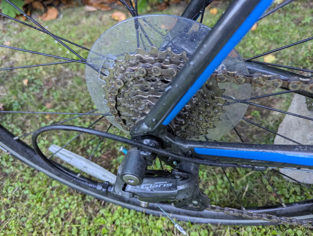 Cannondale CAAD Optimo Claris 2019