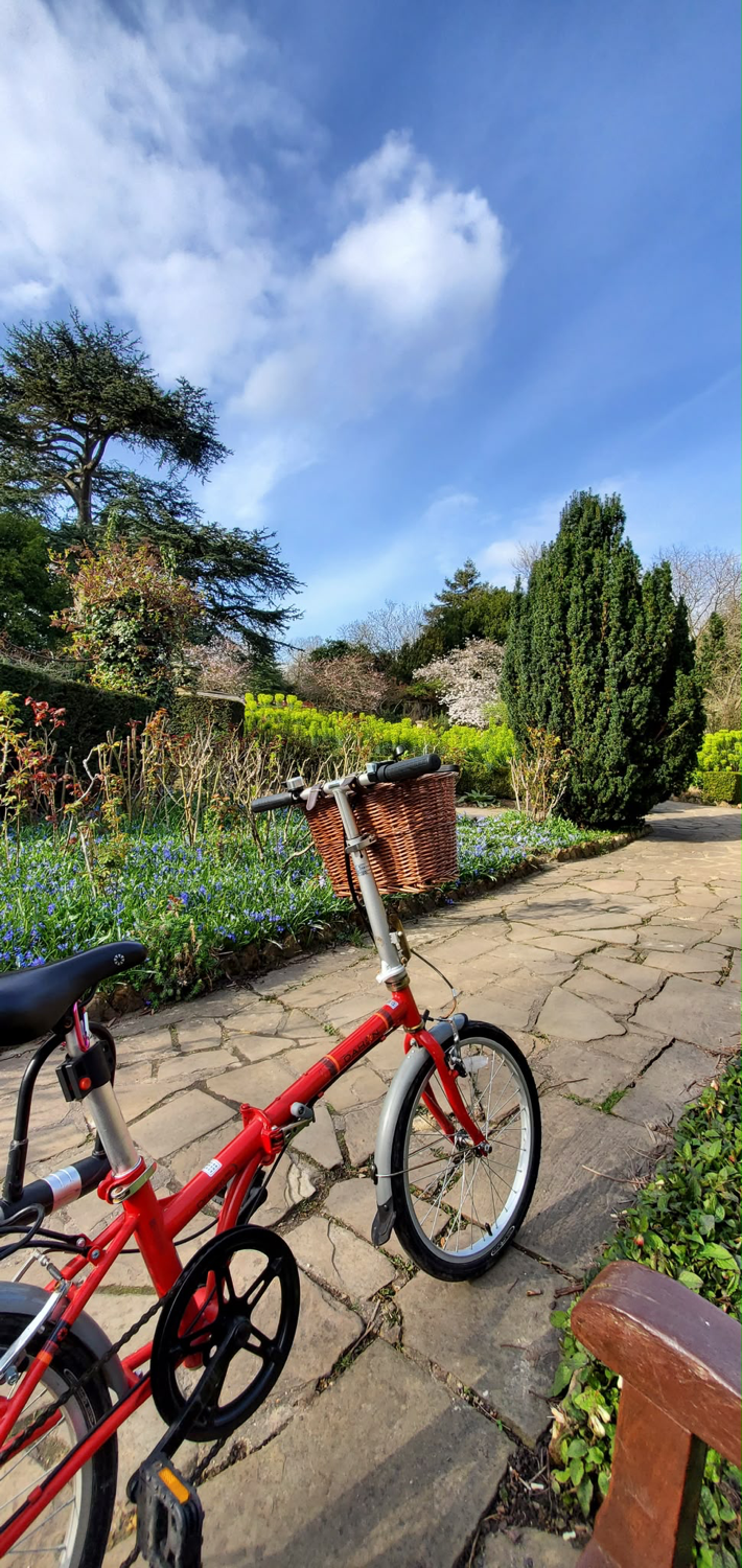 Dahon Dream D6 2020