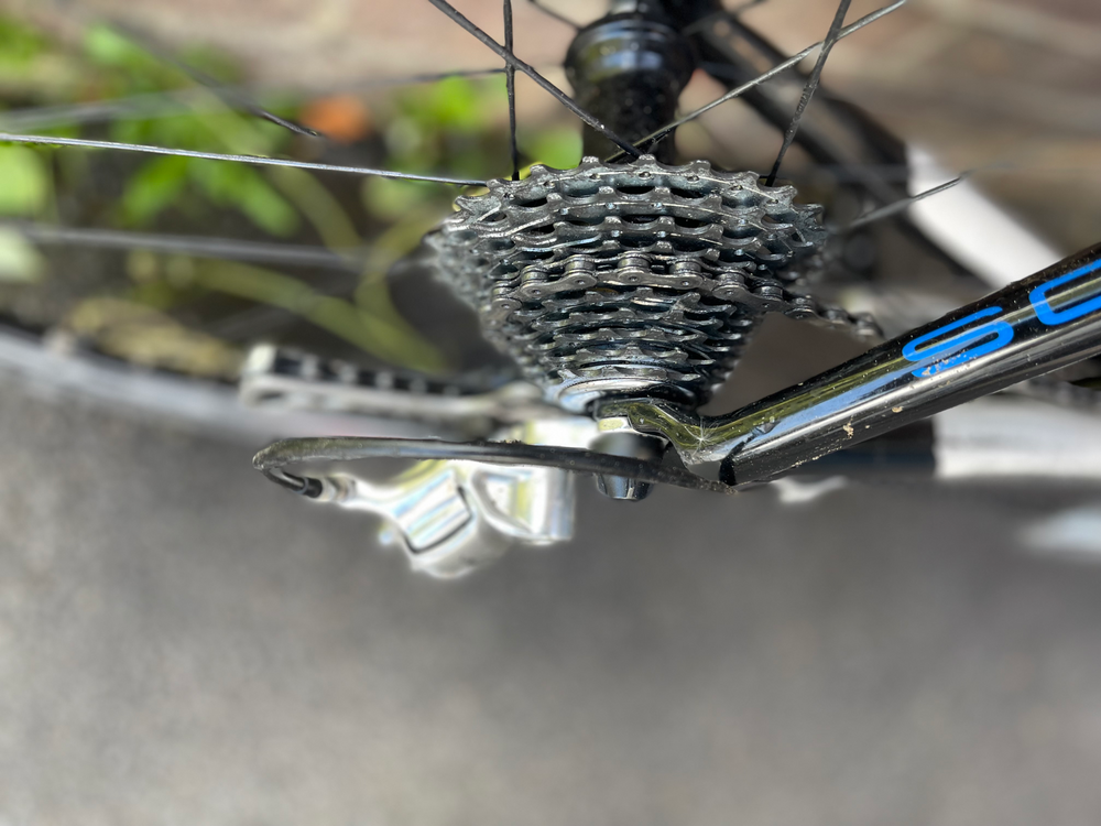 Storck  Scenero 2011