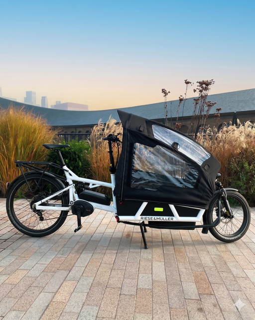 Riese and Muller Load 75 Vario 2019