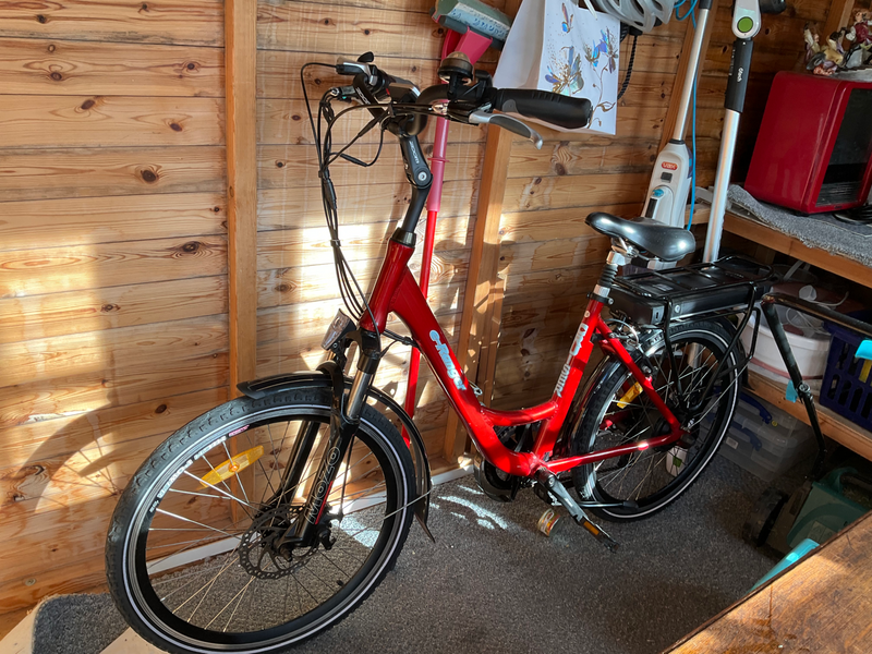 E-Ranger Cruiser