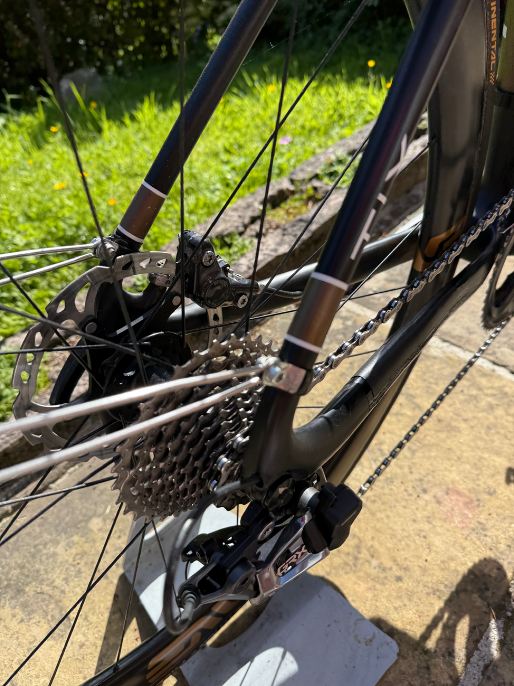 Storck Tix 2020