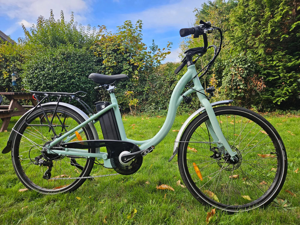 Juicy Dutch Ebike 2023