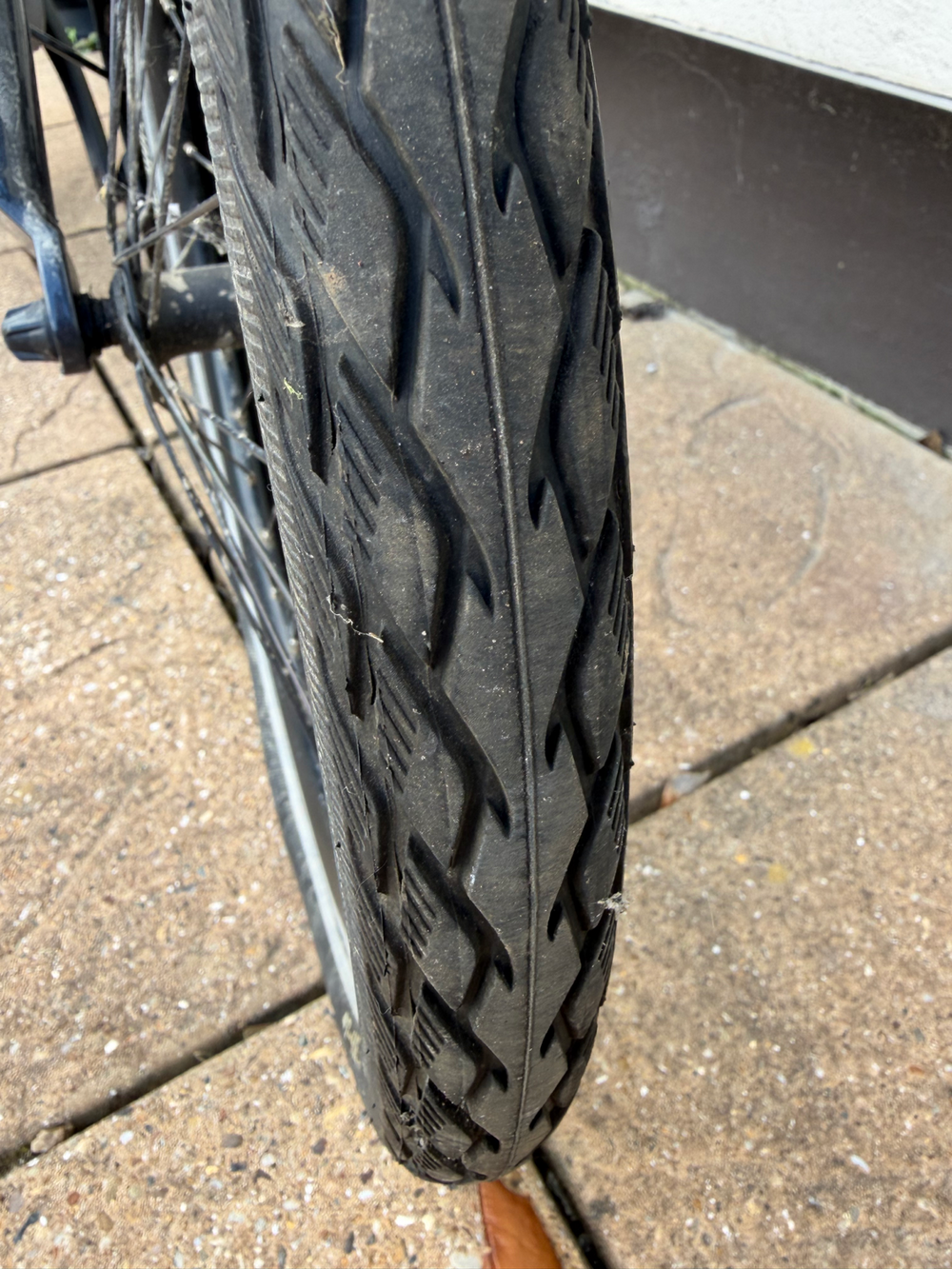 Raleigh Motus Kompact 2024