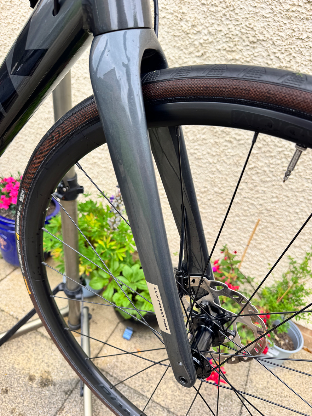 Trek Domane AL 5 Disc 2022