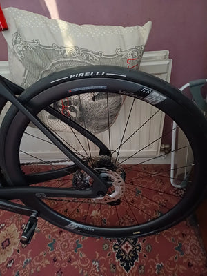 Orro Venturi STC Ultegra Di2 Tailor Made 2024