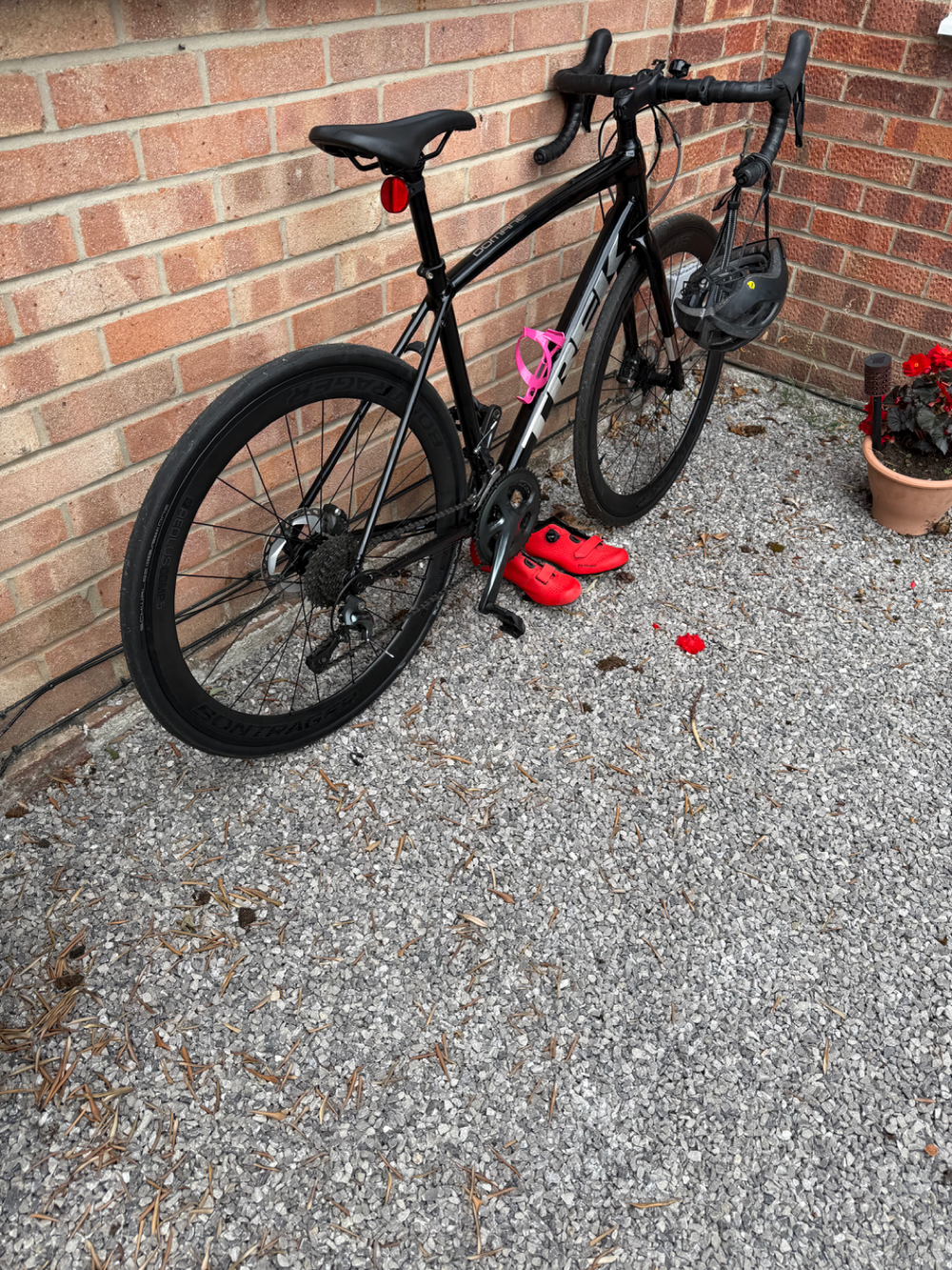 Trek Domane AL 4 Disc 2021