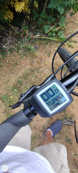 Lapierre Overvolt Am 500+ Bosch 2019