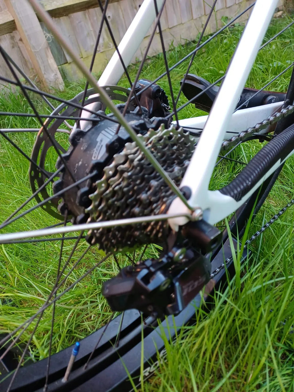 Dolan Atreus Carbon Road FSA - Shimano-12s-105 R7170-di2 2024