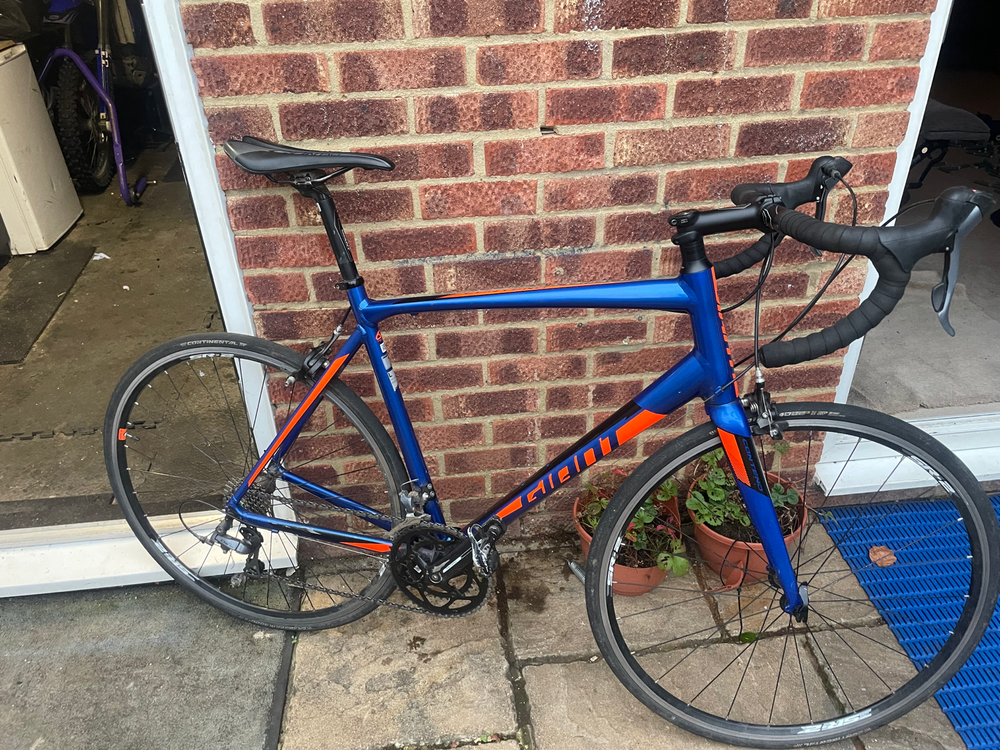 Giant Contend 2 2020