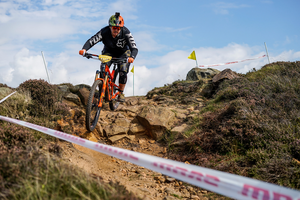 Intense Carbine 29 2018