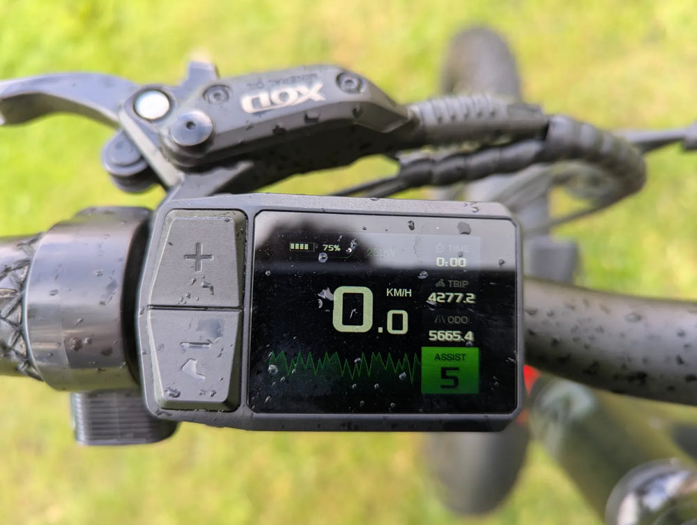 Starsfly E bike  M3 sport 2024