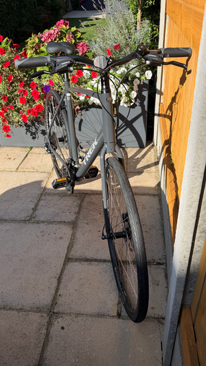 Trek FX1 DISC 2021