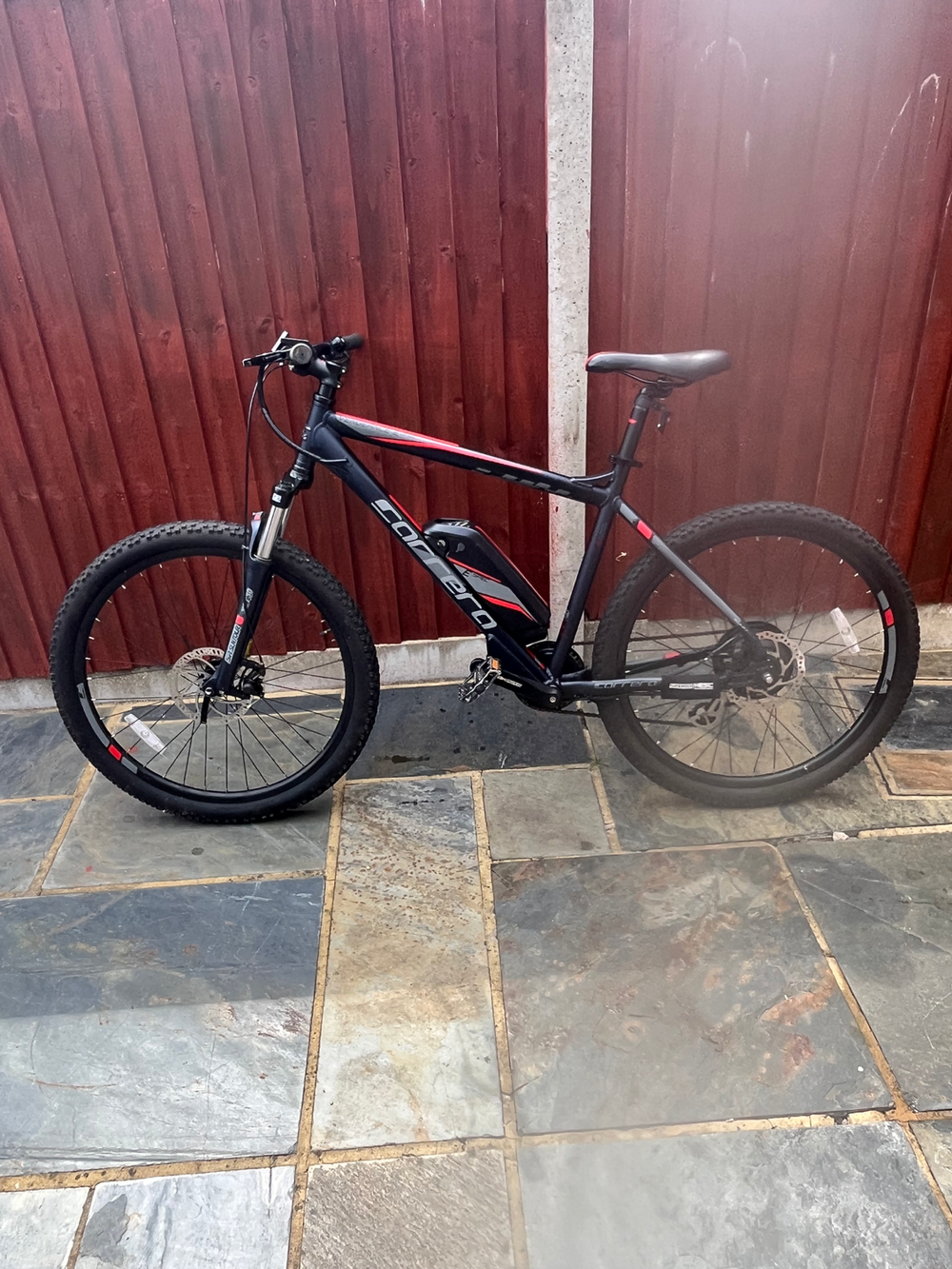 Carrera Vengeance-E Pro 2022